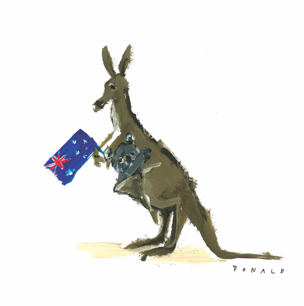 Drawbertson x Animalia Australia Boxy Tee